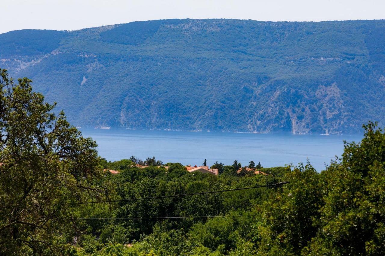 House - Villa Skyline Skrbčići Extérieur photo